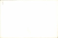 VINTAGE POSTCARD Ass Mule Children (drawing with the hand)