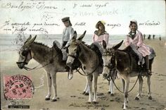 VINTAGE POSTCARD Ass Mule a trio