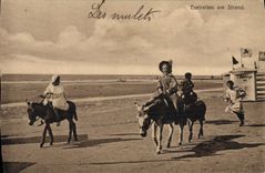 VINTAGE POSTCARD Ass Mule Eselretien amndt Strand