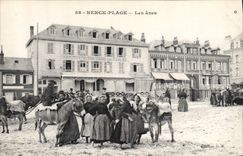 CPA Ane Mule Berck Plage Les anes 