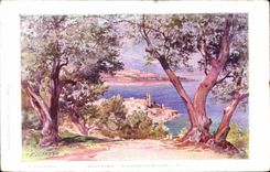 VINTAGE POSTCARD Fantasy Monte Carlo Illustrator Through the olive-trees