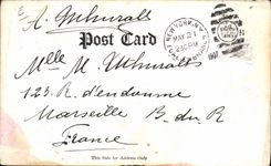 VINTAGE POSTCARD Far West Cow Indian Servant boy Tammany