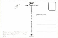 MODERN CARD Far West Cow Servant boy Rawhide Arizona