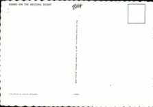 MODERN CARD Far West Cow Servant boy Riders one the Arizona street