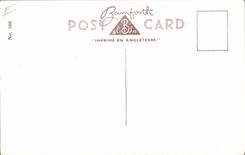 VINTAGE POSTCARD Fantaisie Dances Tempest Woman