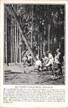CPA Folklore Les femmes forestieres anglaises 