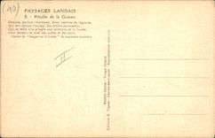 VINTAGE POSTCARD Folklore Landscapes landais Recolte of the gem