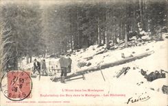 VINTAGE POSTCARD Folklore the winter in the mountains Exploitation of wood in the mountain loggers