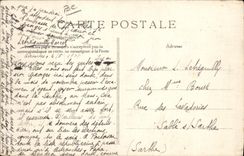 VINTAGE POSTCARD Loggers Dog