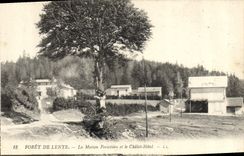 CPA Foret de Lente La Maison forestiere et le Chalet Hotel