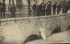 CPA Ours Paris Inondations de Janvier 1910 L'ours blanc 
