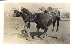 CPA Far West Cow Boy Indiens Sharkey The famous Bucking Bull Taureau Rodeo