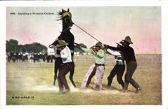 CPA Far West Cow Boy Indiens Rodeo