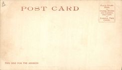 Serpiente del oeste lejana de la danza de serpiente de Moki de los indios del muchacho del criado de la vaca de la POSTAL de la VENDIMIA