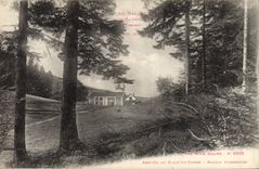 VINTAGE POSTCARD Drill Balloon of Alsace the Vosges Arrived at the Lime pit of Canon House forestiere
