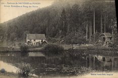 CPA Foret Environs de Bruyeres en Vosges Maison forestiere et etang des huttes 