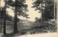 VINTAGE POSTCARD Drill Balloon of Alsace Arrived at Full with the gun House forestiere