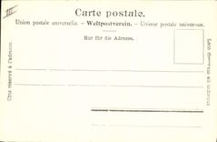 VINTAGE POSTCARD Goat Gathering of the herd