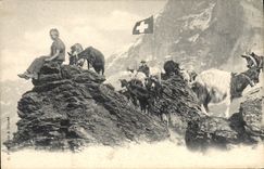 VINTAGE POSTCARD Goat Chevrier Swiss Child