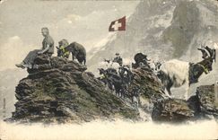 CPA Chevre Chevrier Enfant Suisse