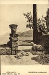VINTAGE POSTCARD Chevre Dupaiin chantereau Ruines has Solonto Salon 1931