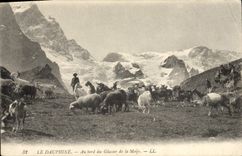 VINTAGE POSTCARD Goat the Dauphine one At the edge of the glacier of Meije