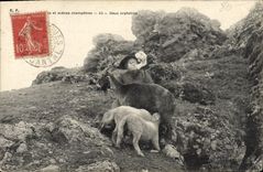 VINTAGE POSTCARD Goat Two orphans