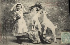 VINTAGE POSTCARD Goat Bicquot Child and Bicquette Raising of high school