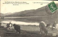 VINTAGE POSTCARD Goat edges of the Lake Issarles and Mezenc the Cevennes