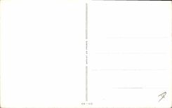 CPA Fantaisie Militaria Chien 