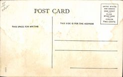 VINTAGE POSTCARD Far West Cow Servant boy Seminole Indian woman and Child Florida