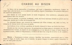 CPA Far West Cow Boy Chasse au bison Amerique du Sud