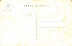 VINTAGE POSTCARD Far West Cow Servant boy Tribe of Incas