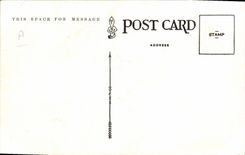 VINTAGE POSTCARD Far West Cow Servant boy Rodeo Let er Buck