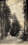 CPA Foret Vizzavona Maison forestiere 