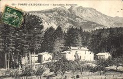 CPA Foret d'Aitone Corse Corsica La maison forestiere