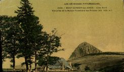 VINTAGE POSTCARD Foret the Cevennes Mont Gerbier Dimensions Northern House forestiere Seen from Princes