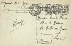 VINTAGE POSTCARD Boat Lake Leman France Swan