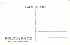 CPA Ours polaire et son petit 