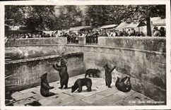 CPA Ours Bern Barengraben 