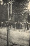 CPA Ours Paris Jardin des plantes l'ours Martin 