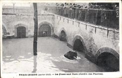 CPA Ours Paris inonde La fosse aux ours Jardin des plantes 