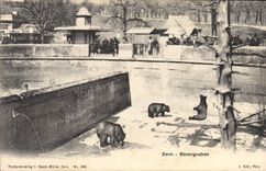 CPA Ours Bern Barengraben