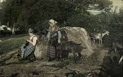VINTAGE POSTCARD Woman Goat Folklore