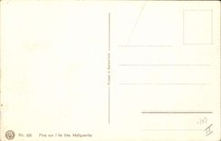 VINTAGE POSTCARD Fantasy Illustrator Raised Pines on the island Marguerite