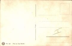 VINTAGE POSTCARD Fantasy Illustrator Raised Pines in the Cape Martin