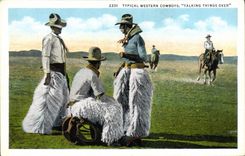 CPA Indiens Typical western cowboys Talking things over 