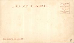 VINTAGE POSTCARD Indian Elation