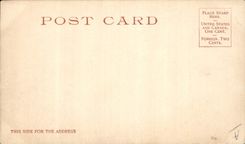 VINTAGE POSTCARD Indiens has Pima Pappoose