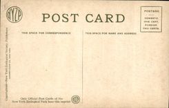 VINTAGE POSTCARD American bison New York zoological park